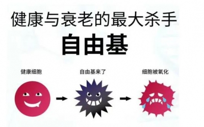 玻尿酸的作用與功效有哪些？